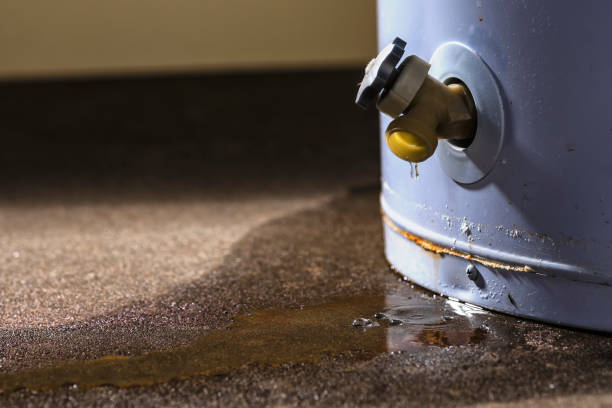 Best 24/7 water damage repair  in Amity, OR