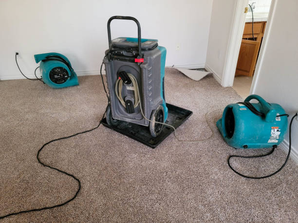 Best Professional water damage repair  in Amity, OR
