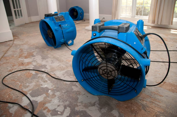 Carpet water damage restoration in OR